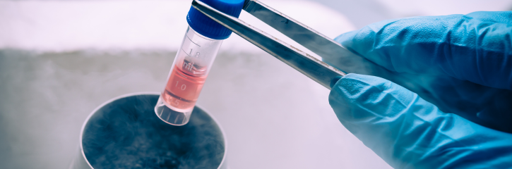 再生醫學新革命：外泌體將取代幹細胞成為更安全有效的生物療法？